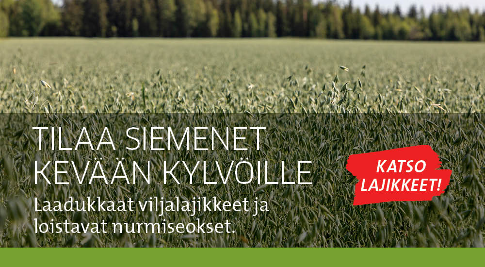 Siemenet kevään kylvöille